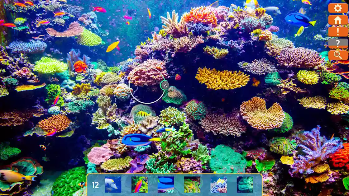 picture[2]-Download Just Find It Collector’s Edition Switch NSP-PANDA