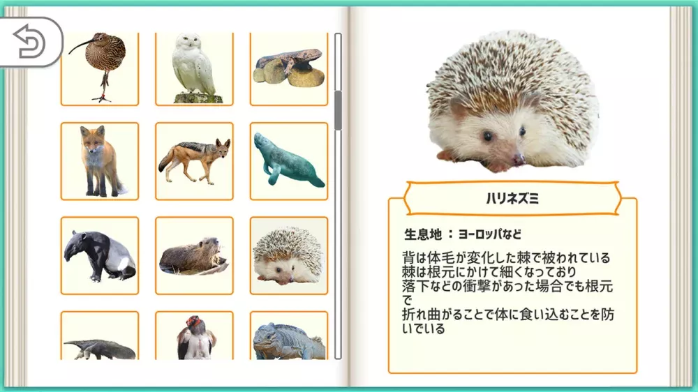 picture[2]-Download Quiz Animal Encyclopedia DX Switch NSP ROM-PANDA