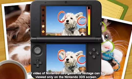 picture[2]-Download Spot the Differences 3DS ROM CIA-PANDA