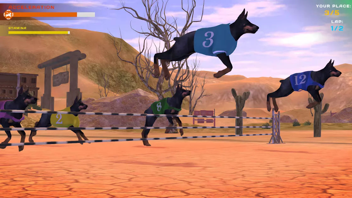picture[2]-Download DOG RACING LOVELY PET… Switch NSP ROM-PANDA