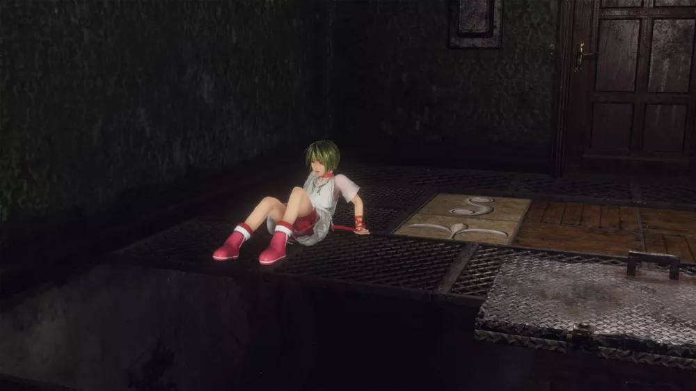 picture[2]-Download Last Labyrinth PKG PS4 Game-PANDA